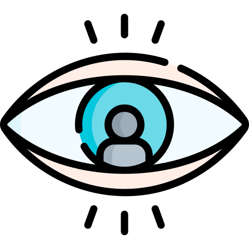 Vision