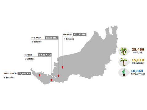 SALCRA Oil Palm Estates