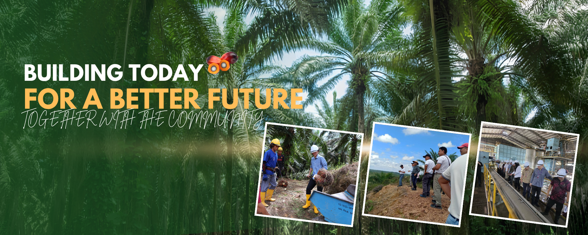 Palm Oil Milling Operations