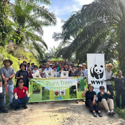Sustainability Community