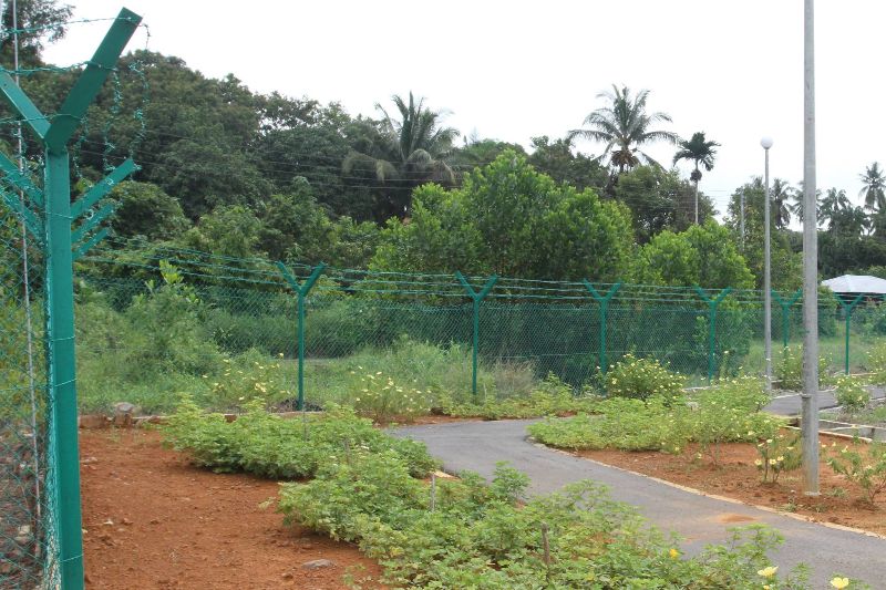 Paved Jogging Track