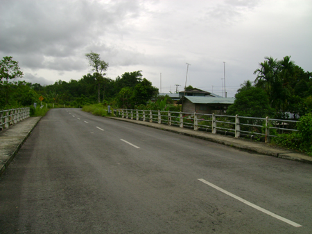 Sg. Mong Bridge Construction