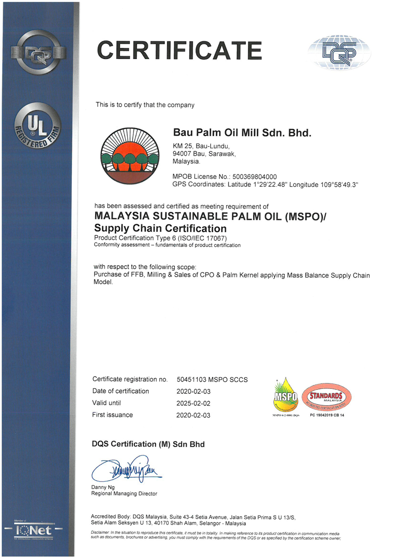 Certificate 7