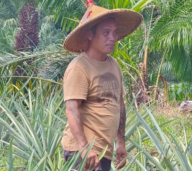 Sabai Lanyau
